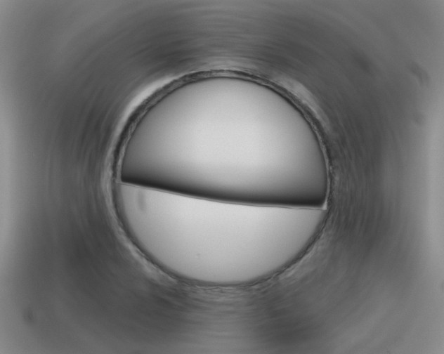 X0000115591024200911100926