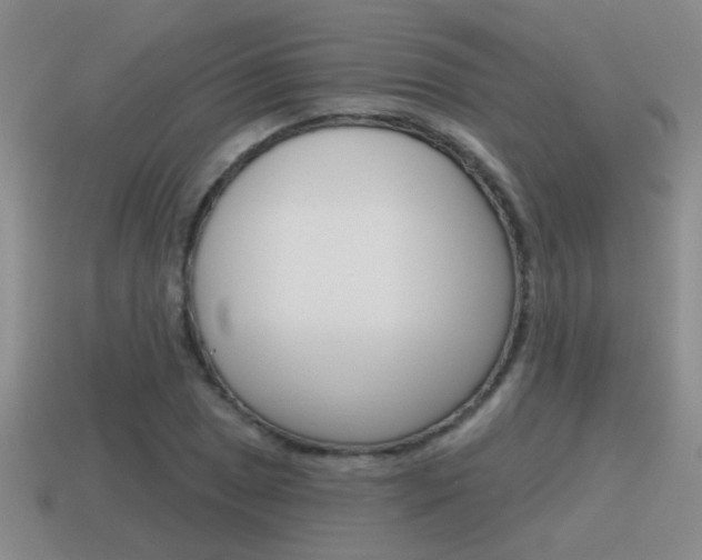 X0000115591025200911100926