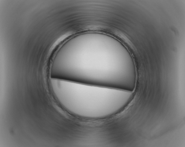 X0000115591026200911100927