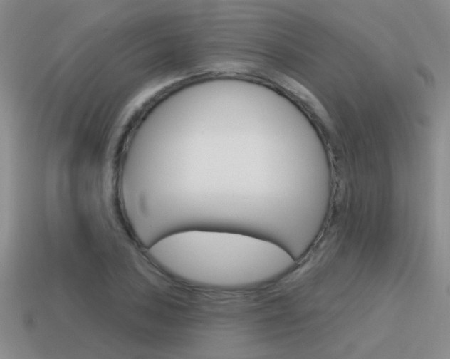 X0000115591027200911100927