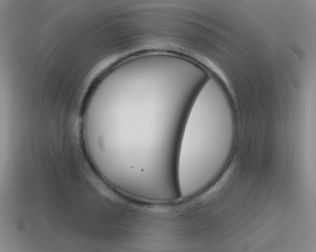 X0000115591029200911100927