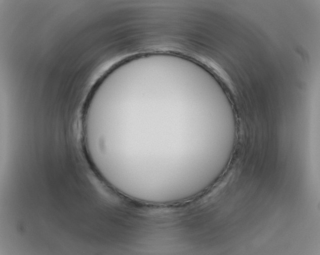 X0000115591031200911100927