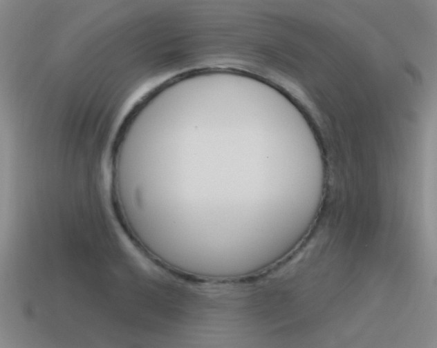 X0000115591032200911100927