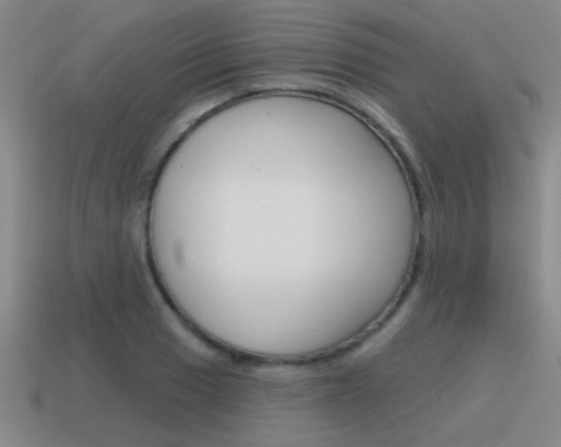 X0000115591033200911100927