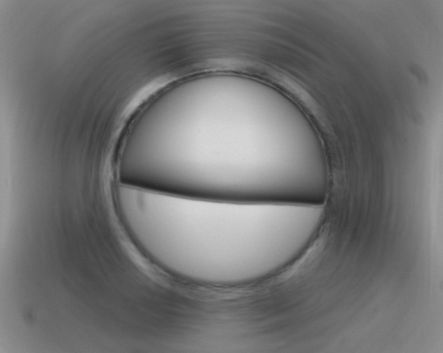 X0000115591034200911100927