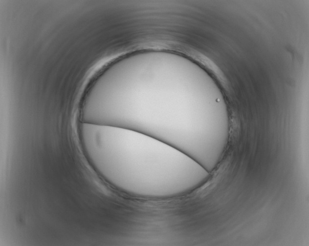 X0000115591035200911100927