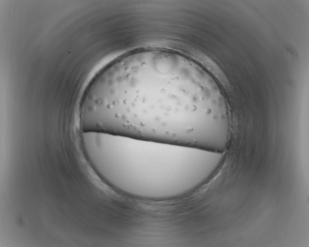 X0000115591036200911100927