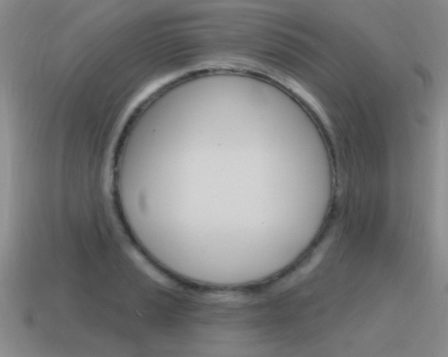 X0000115591037200911100927
