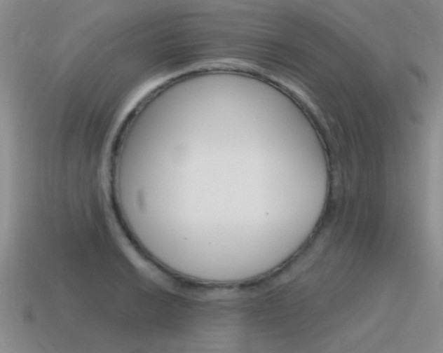 X0000115591038200911100927