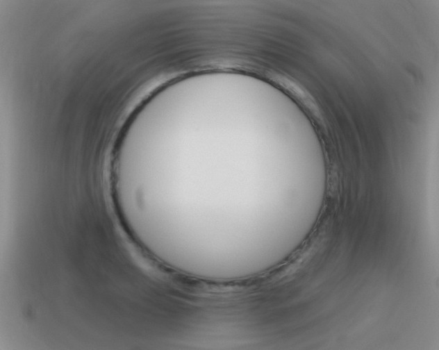 X0000115591039200911100927