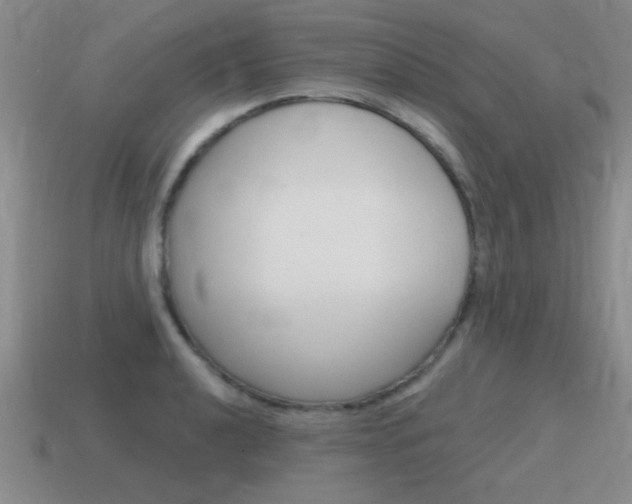 X0000115591040200911100927