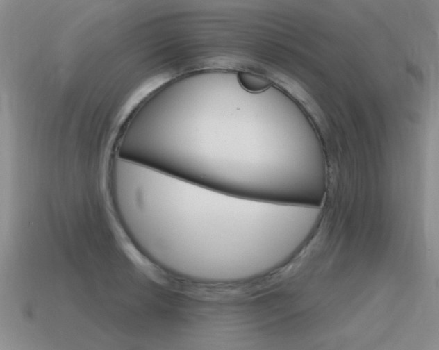 X0000115591042200911100927