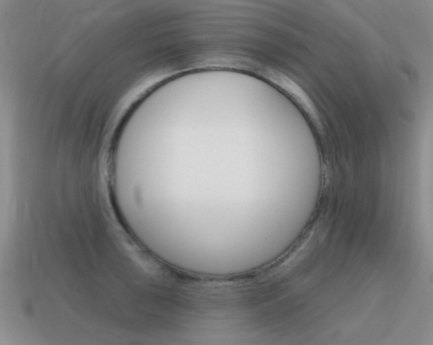 X0000115591043200911100927