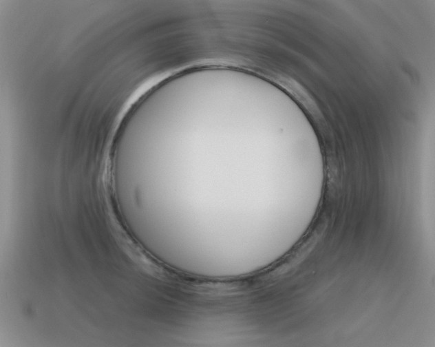 X0000115591044200911100927