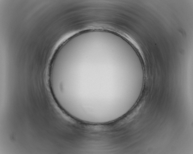 X0000115591045200911100927