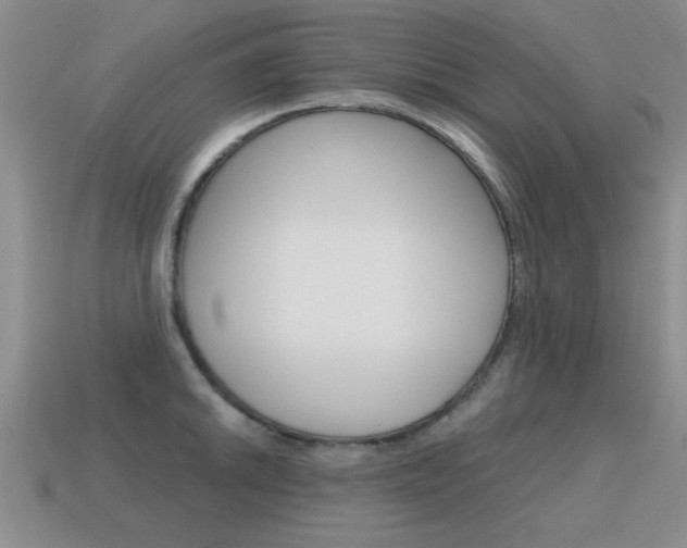 X0000115591046200911100927
