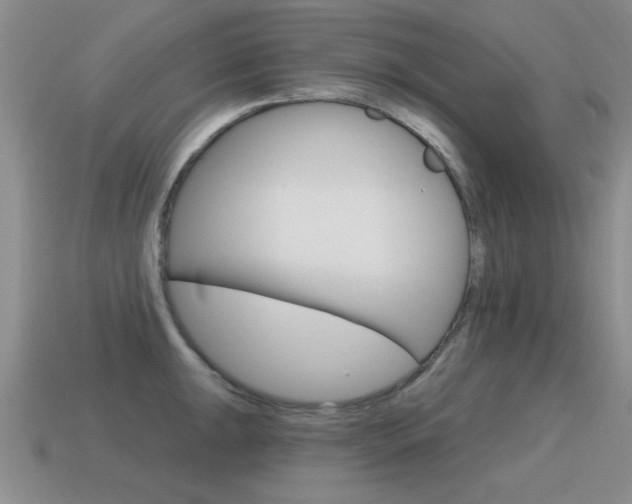 X0000115591047200911100927