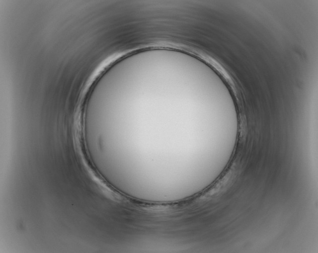 X0000115591048200911100927