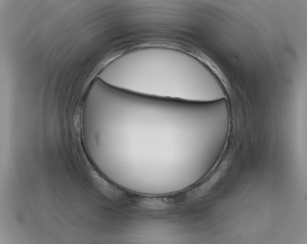 X0000115591049200911100927