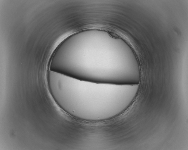X0000115591050200911100927