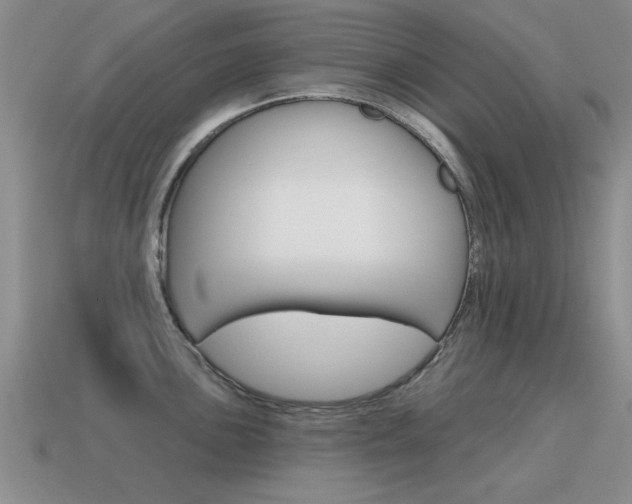 X0000115591051200911100927