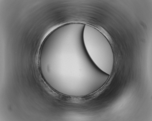 X0000115591052200911100927