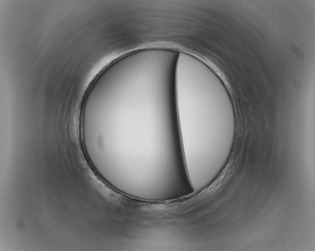 X0000115591054200911100927