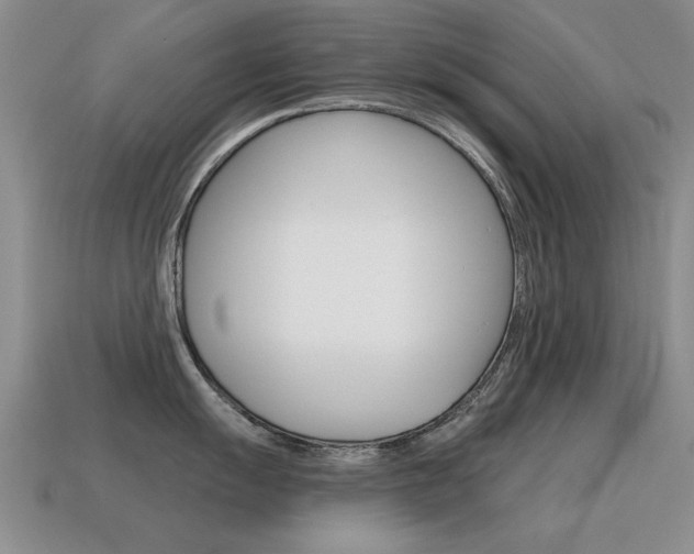 X0000115591055200911100927