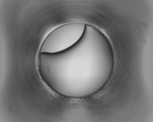 X0000115591056200911100927