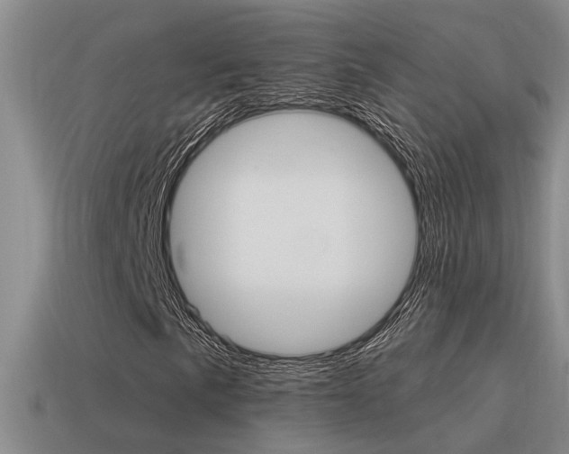 X0000115591057200911100926
