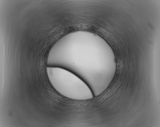 X0000115591058200911100926