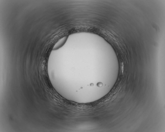 X0000115591059200911100926