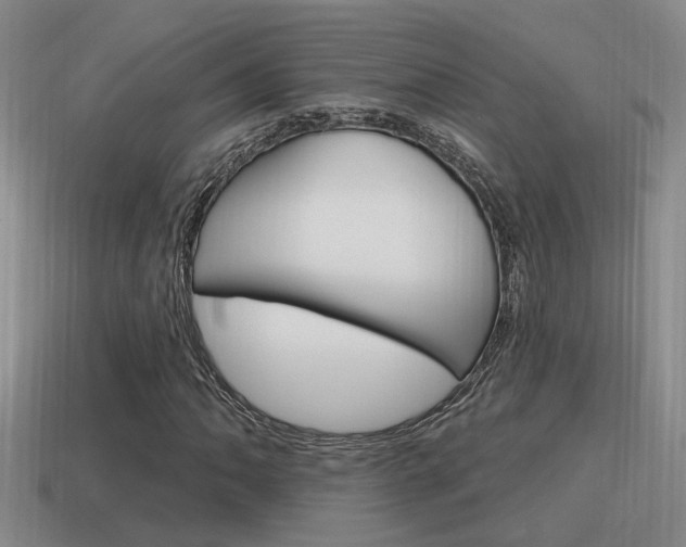 X0000115591062200911100926