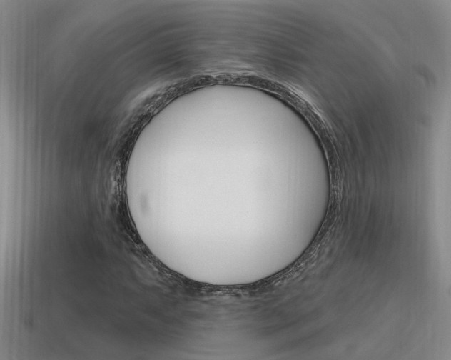X0000115591063200911100926