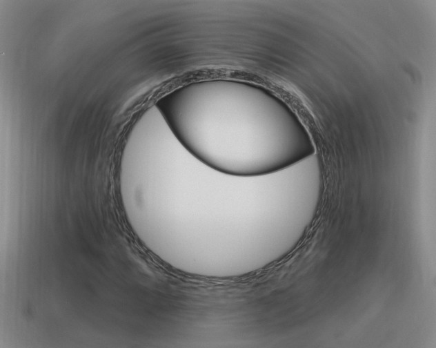 X0000115591064200911100926