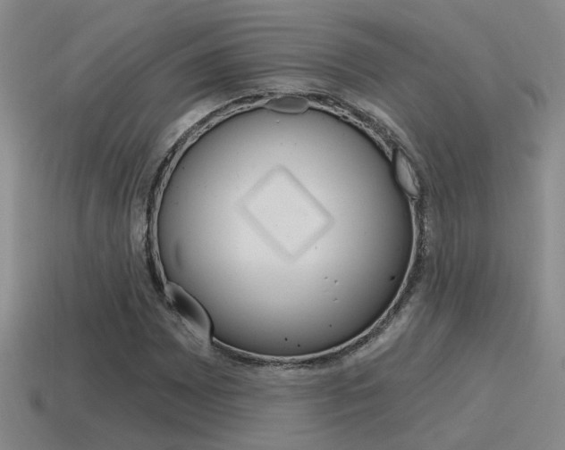 X0000115591065200911100926