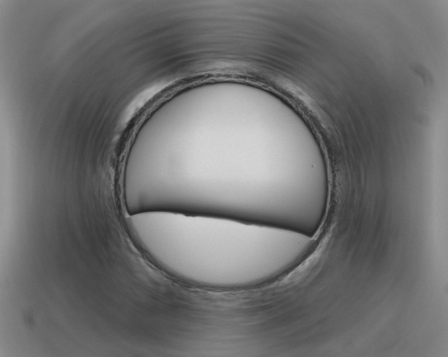 X0000115591066200911100926
