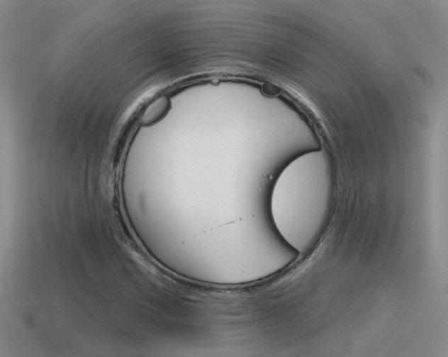 X0000115591067200911100926