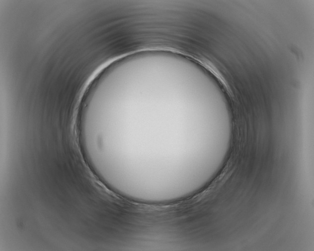 X0000115591068200911100926