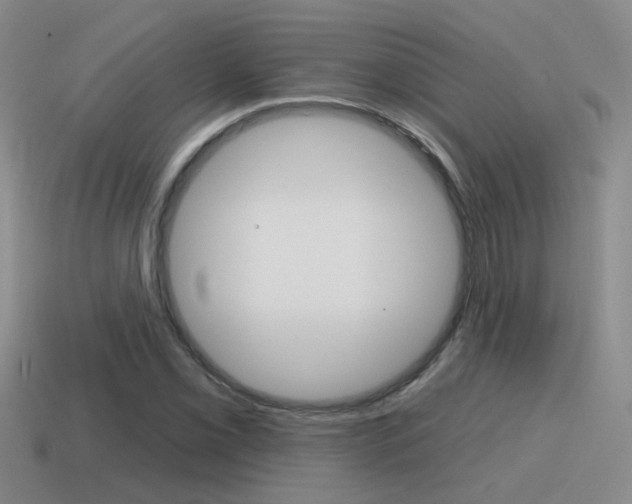 X0000115591069200911100926