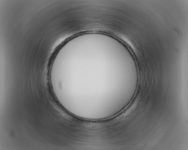 X0000115591071200911100926