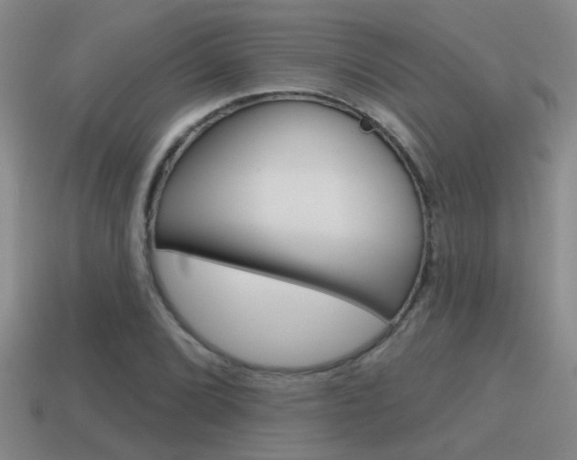 X0000115591072200911100926
