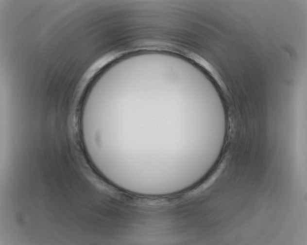 X0000115591074200911100926