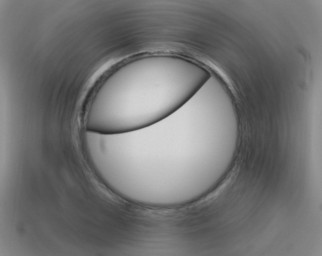 X0000115591075200911100926