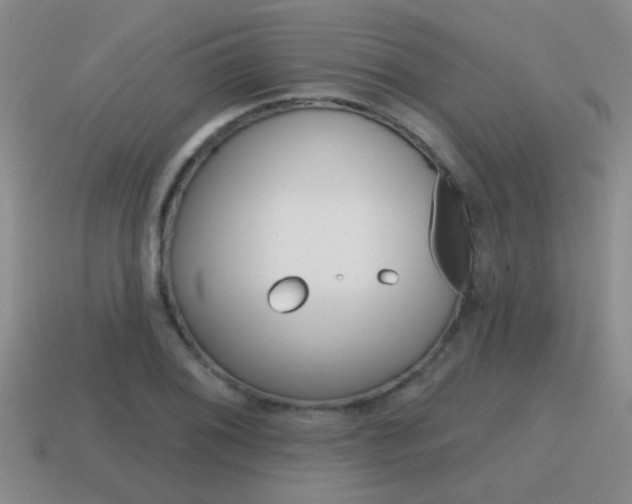 X0000115591076200911100926