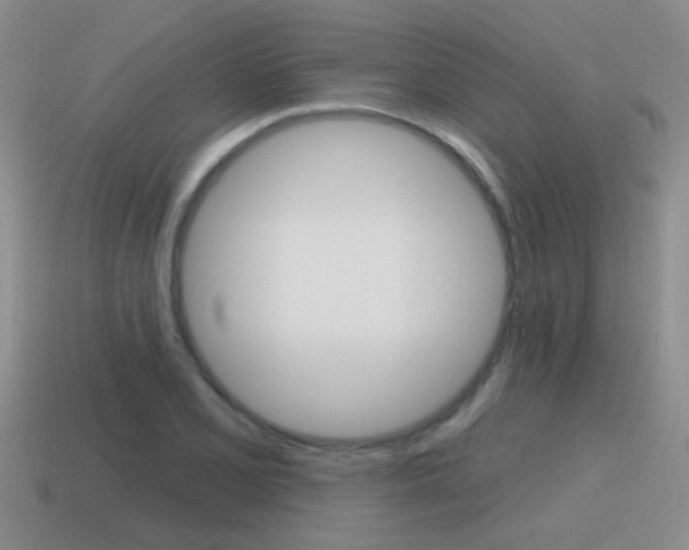 X0000115591077200911100926