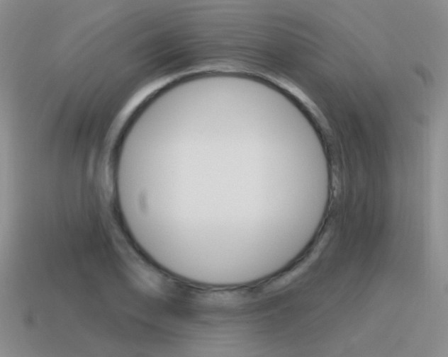 X0000115591078200911100926