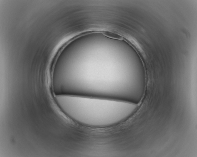 X0000115591080200911100926