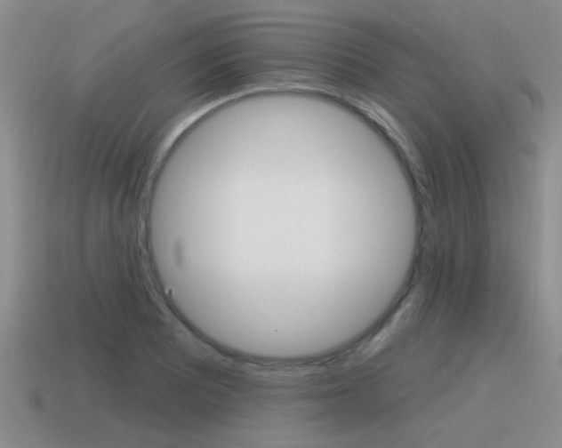 X0000115591081200911100926