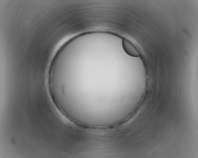 X0000115591086200911100926